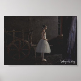 Pôster Esperando nas Asas