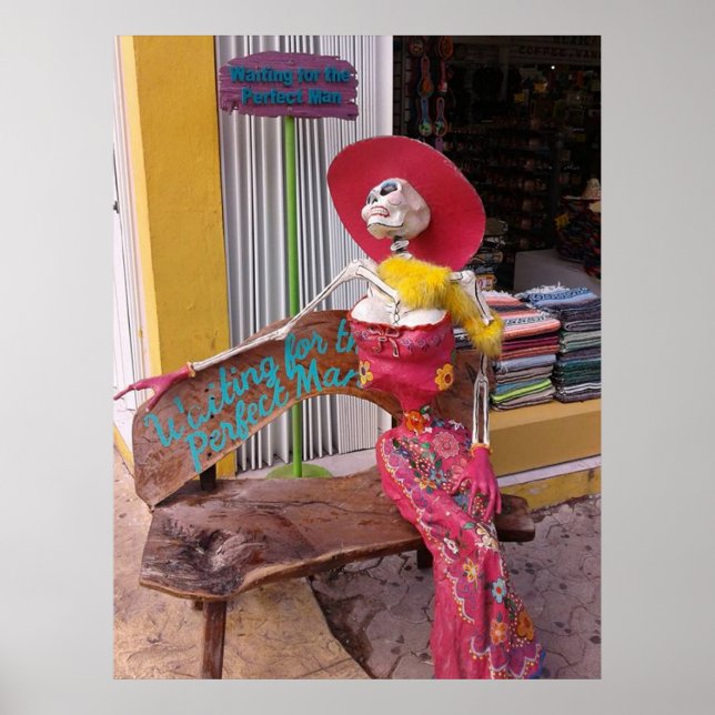 Pôster Esperando o Homem Perfeito (Frente)