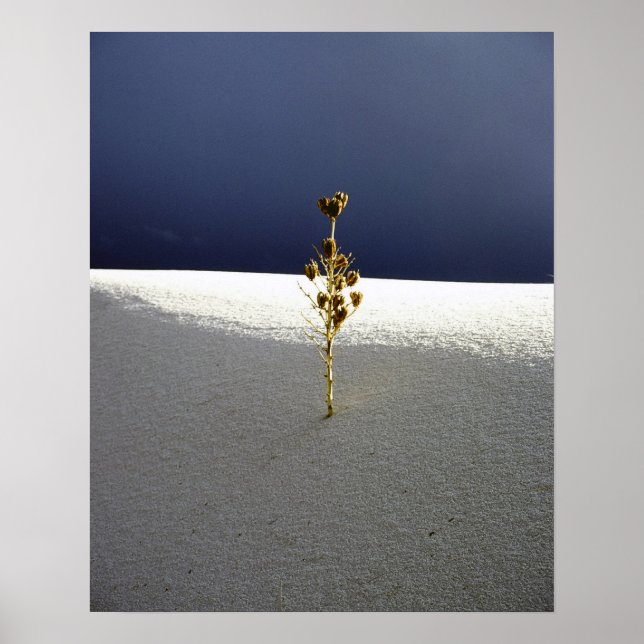 Poster Esperando pela chuva (Frente)