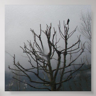 Pôster Esperando por Godot