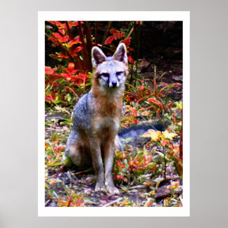 PÔSTER ESPERANDO POR SANDRA