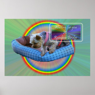 Pôster Esperando por você na Ponte Rainbow