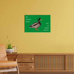 Poster Esperanto: Mi fartas bone, ĉar mi havas anason.