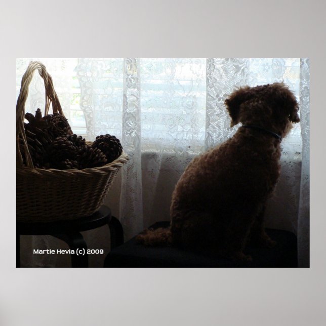 Pôster Esperas de Rookie (Frente)