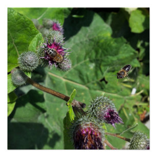 Pôster espere por mim