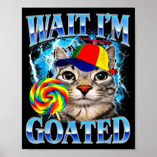 Poster Espero que eu seja engraçado meme de gato engraçad