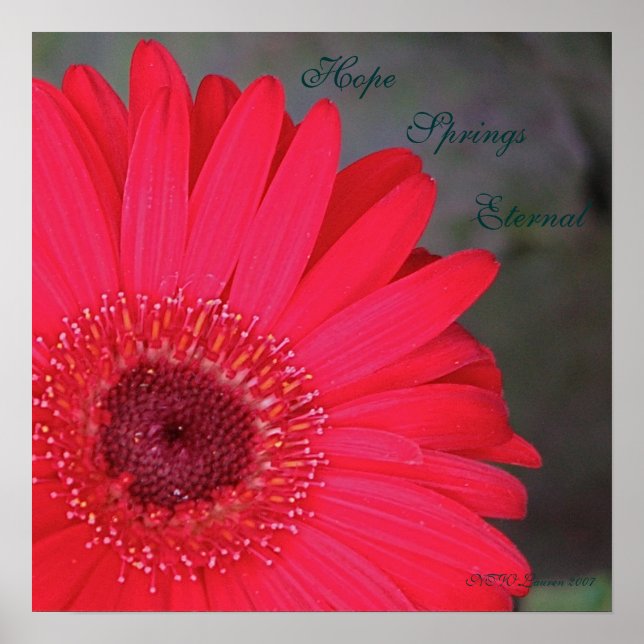 Poster Espero que Primavera Eterno... (Frente)