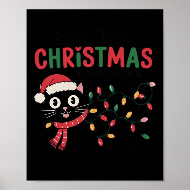Poster Espero Que Seu Natal Seja Mobre E Engraçado Sant (Frente)