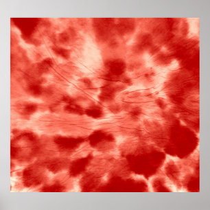 Poster Espiral Caleidoscópio