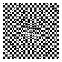 Espiral Xadrez Logarítmica Var. 2