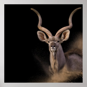 Poster Espírito de Kudu