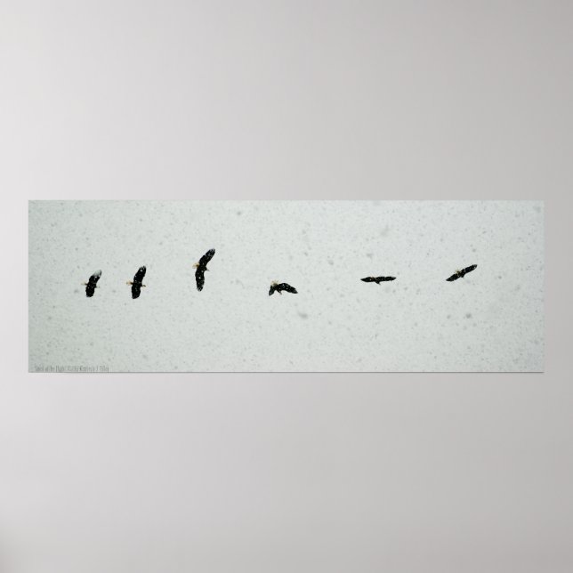 Pôster Espírito do Voo (Frente)