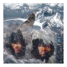 Espírito Nativo no Alasca