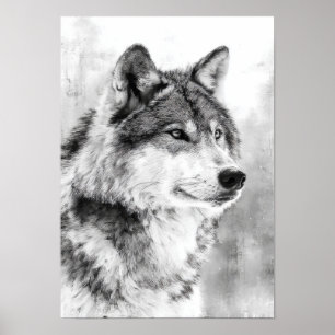Poster Espírito Selvagem - Esboço de Arte Fina de Lobo Ci