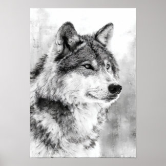 Poster Espírito Selvagem - Esboço de Arte Fina de Lobo Ci