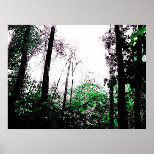 Pôster Espirra do verde