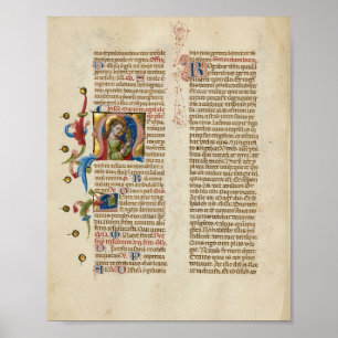 Poster Esplêndido Manuscrito Iluminado
