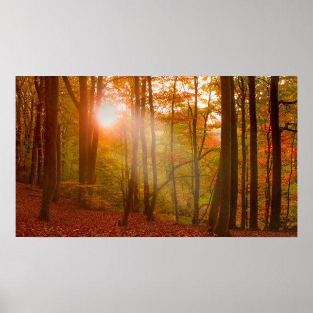 Poster Esplendor de outono (Frente)