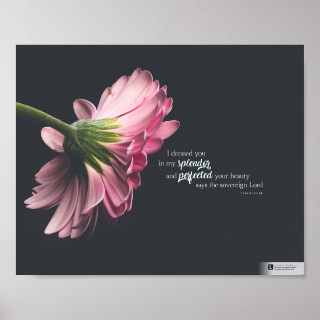 Poster Esplendor (Ezekiel 16:14) (Frente)