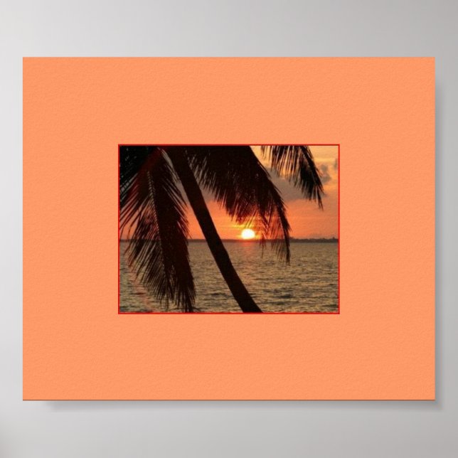 Pôster Esplendor tropical (Frente)