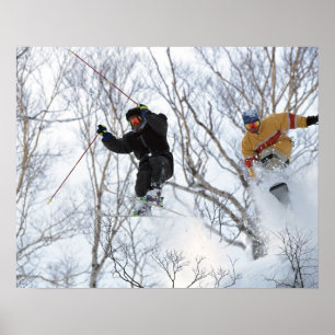 Pôster Esportes de inverno