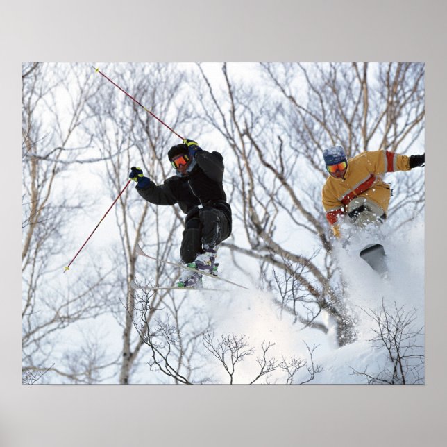 Pôster Esportes de inverno (Frente)