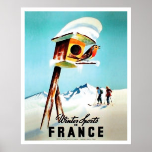 Poster Esportes de inverno em France, pássaro pequeno em