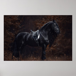 Poster Esportes elegantes Dressagem Frísia Stallion