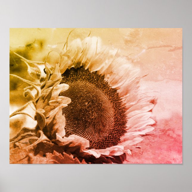 Poster Espumante Sunflower Black E White Distress Sorride (Frente)