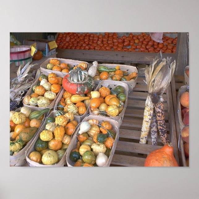 Poster Esquadra de estrada (Frente)