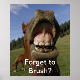 Pôster Esqueça o Brush?