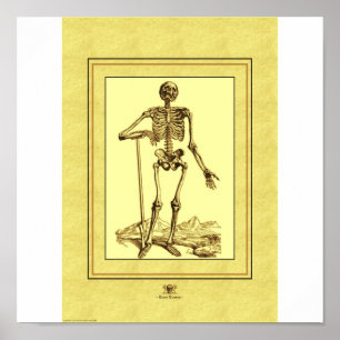 Pôster Esqueleto