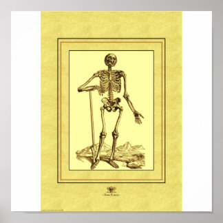 Pôster Esqueleto