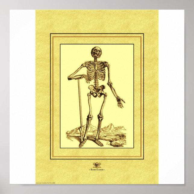 Pôster Esqueleto (Frente)