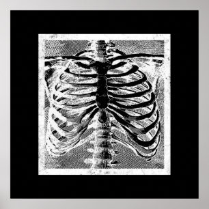 Poster Esqueleto Antigo Torso Corpo Halloween