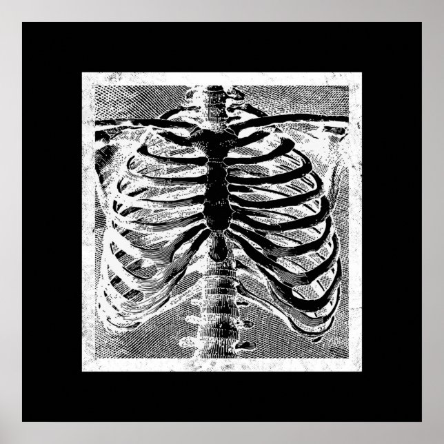 Poster Esqueleto Antigo Torso Corpo Halloween (Frente)