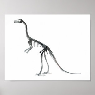 Pôster esqueleto de compsognathus
