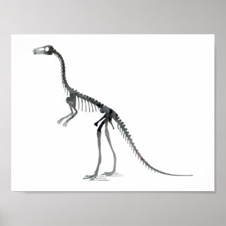 Pôster esqueleto de compsognathus