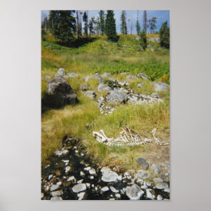 Pôster Esqueleto de Elk