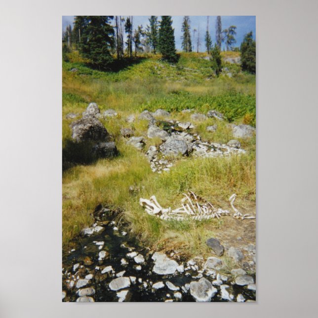 Pôster Esqueleto de Elk (Frente)