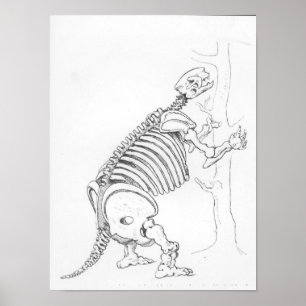 Poster Esqueleto de um Mylodon