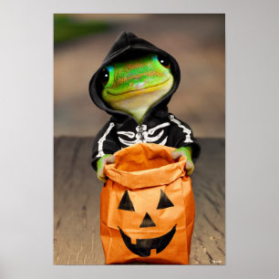 Poster Esqueleto Gecko