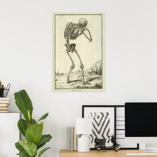 Poster Esqueleto Vintage, Anatomia Humana por Denis Dider