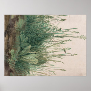 Pôster Esquema de Albrecht Durer