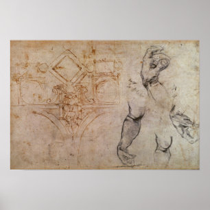 Poster Esquema para o Teto das Capelas Sistinas, c.1508