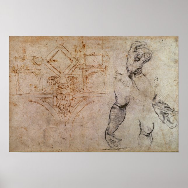 Poster Esquema para o Teto das Capelas Sistinas, c.1508 (Frente)