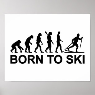 Poster Esqui corta-mato da evolução
