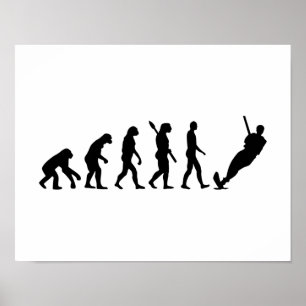 Poster Esqui de água da evolução