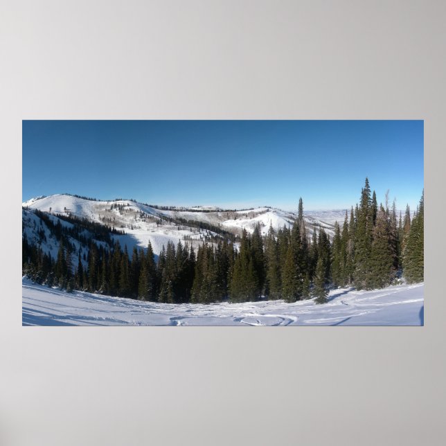 Poster Esqui em Árvore (Frente)