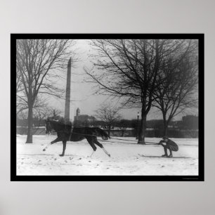 Pôster Esquiando atrás do cavalo Washington, C.C. 1919